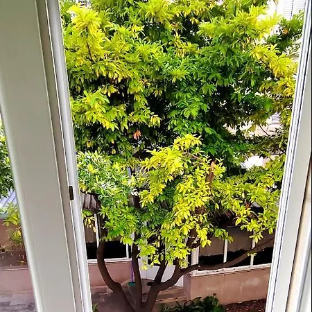 Apartment Apartman Selve *